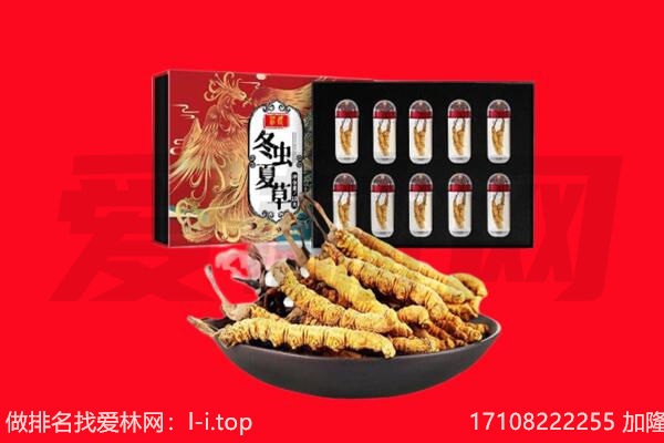 毕节七星关区回收虫草.jpg